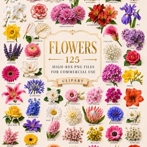 May include: A digital collection of 125 flower illustrations featuring various species like roses, sunflowers, lilies, and hydrangeas. The central text reads FLOWERS 125 HIGH-RES PNG FILES FOR COMMERCIAL USE CLIPART, surrounded by labeled floral graphics.
