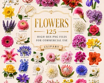 Flower Clipart Bundle | 125 High-Res Transparent PNG Flowers | Botanical Realistic Illustrations Commercial Use