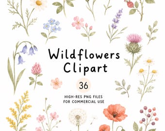 Boho Wildflowers Clip Art, 36 High-Res PNG Commercial Use, Digital Download, Whimsical Clipart, Printable Sublimation Scrapbook Junk Journal