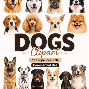 Puede incluir: Una colección de retratos de perros que incluye un Golden Retriever, Husky, Bulldog francés, Border Collie, Beagle, Caniche, Chihuahua, Pomerania, Pastor alemán, Dálmata, Rottweiler, Corgi, Teckel y Pastor australiano con el texto DOGS Clipart.