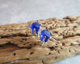Sea Glass - Sea Glass Jewelry - Cobalt Blue - Sea Glass Stud Earrings - Miniature Jewelry -Genuine Sea Glass from Prince Edward Island