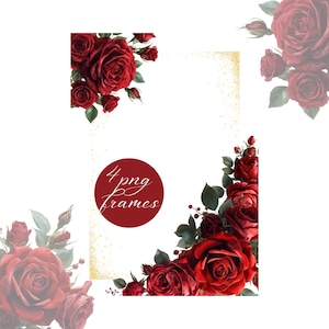 Puede incluir: Un diseño digital con ilustraciones de acuarela de rosas rojas oscuras y hojas verdes. El diseño incluye un borde dorado brillante y un elemento circular con el texto "4 png frames". El tema general es floral y romántico.