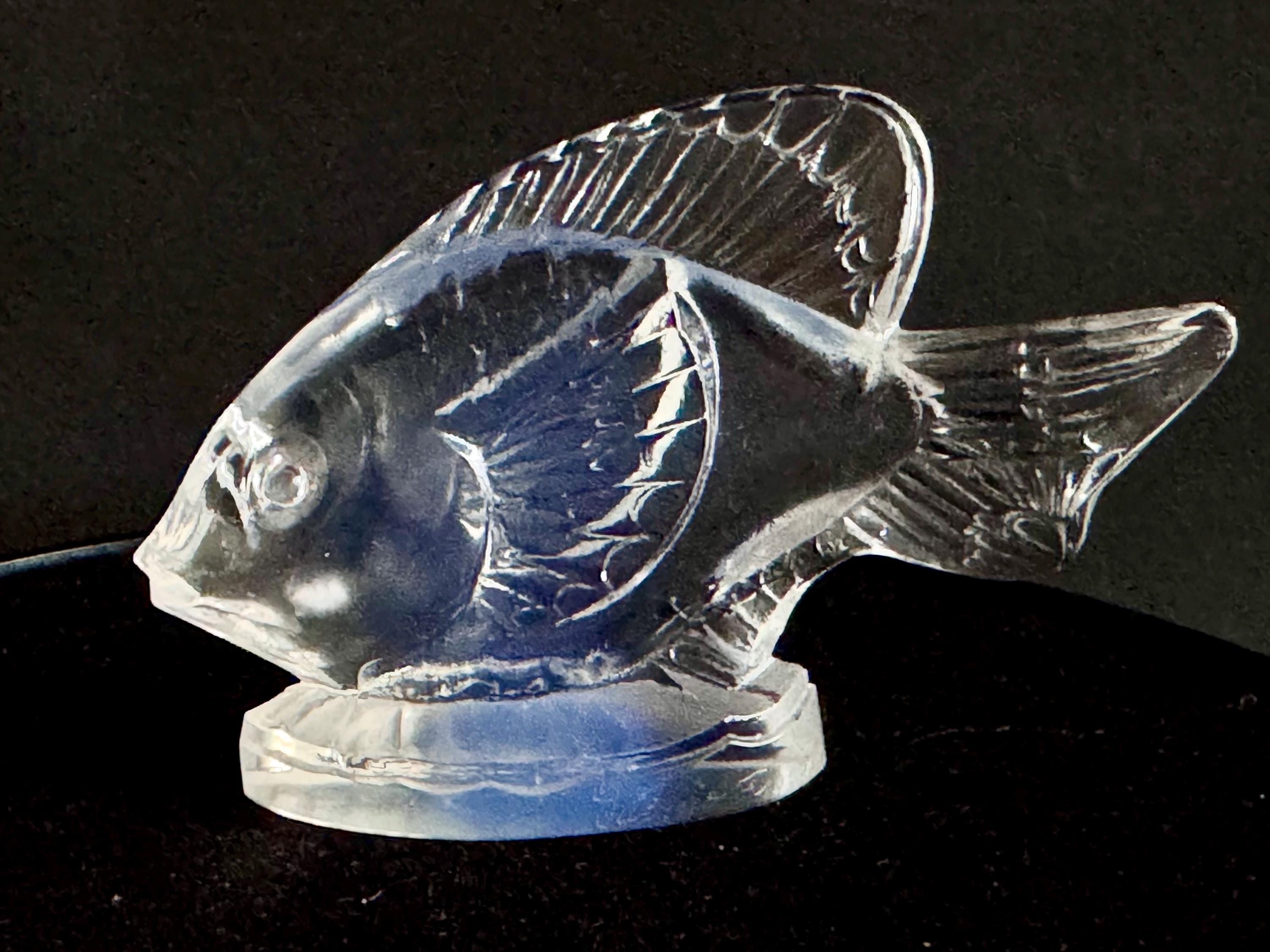 Sabino Glass Fish - Etsy