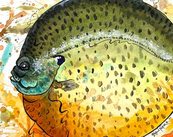 Stampa di persico sole grasso – Illustrazione di pesce ad acquerello e inchiostro di Landon Fraker