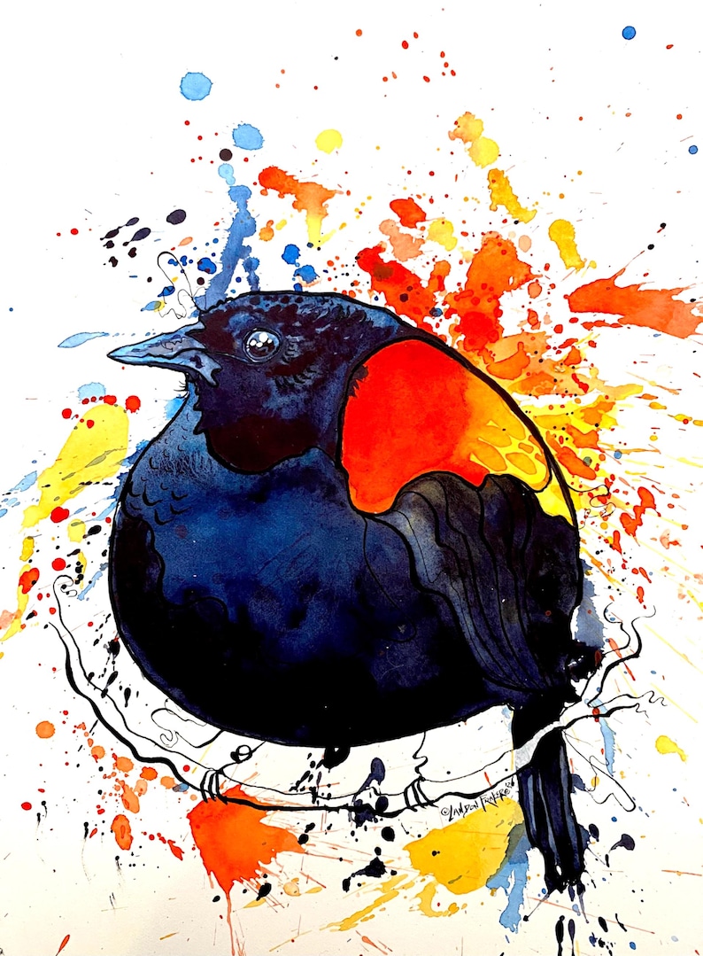 Fat Red Winged Blackbird Print – Watercolor and Ink Bird Art by Landon ...