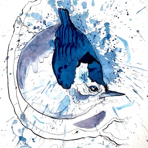 May include: Watercolor painting of a blue jay with a white and black head, perched on a branch. The bird is depicted in shades of blue, with splatters of blue paint in the background. The artwork is signed in the lower right corner.
