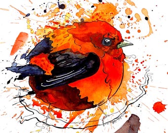 Fat Scarlet Tanager Print - Watercolor and Ink Painting - “Fat Bird” series by Landon Fraker