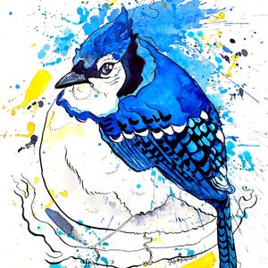 May include: Watercolor painting of a blue jay bird with a white chest and blue wings. The bird is perched on a branch, with blue and yellow paint splatters in the background. The artwork is on a white background.