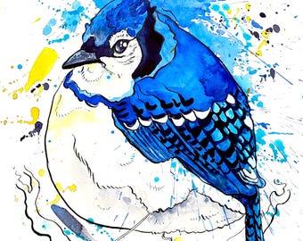 Fat Blue Jay Print – Watercolor Bird Art by Landon Fraker