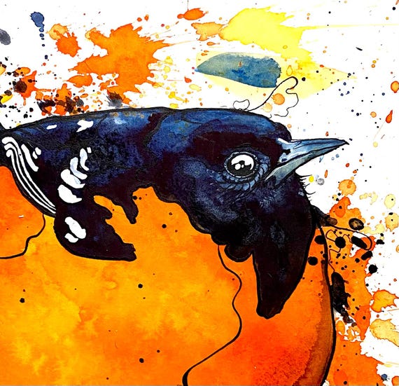 Fat Oriole Print – Watercolor and Ink Bird Art by Landon Fraker - Etsy