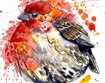以下が含まれることがあります： 赤い、オレンジ色、黄色の羽毛を持つ鳥の水彩画。細い枝にとまっています。鳥は、赤とオレンジ色のペンキの飛沫がある白い背景に配置されています。鳥の目は詳細です。