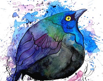 Fat Common Grackle Print – Watercolor Bird Art by Landon Fraker