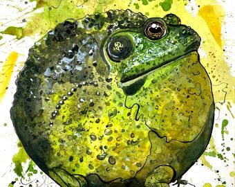 Stampa di una rana toro americana grassa – Illustrazione ad acquerello e inchiostro di Landon Fraker