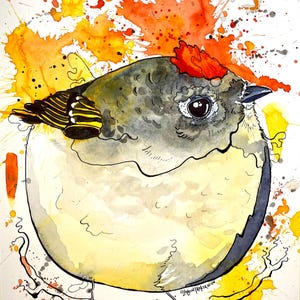 Op de afbeelding: Aquarel schilderij van een ronde vogel met een grijze kop, gele buik en rode kuif. De vogel is omgeven door oranje en gele verfspatten. Het kunstwerk is rechtsonder gesigneerd.