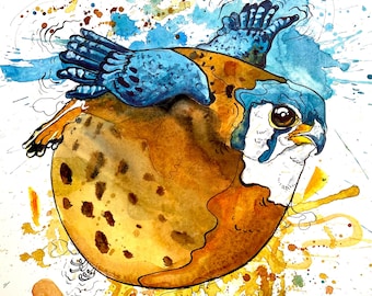 Grabado de un cernícalo americano gordo: obra de arte de aves en acuarela y tinta de Landon Fraker.