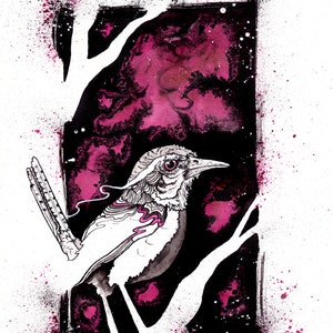 CAROLINA WREN ⋆ Fine Art Print ⋆ Bird Painting ⋆ Pen and Ink Illustration⋆ INKTOBER 2021 ⋆ Pokeweed Ink Painting - Wren Print