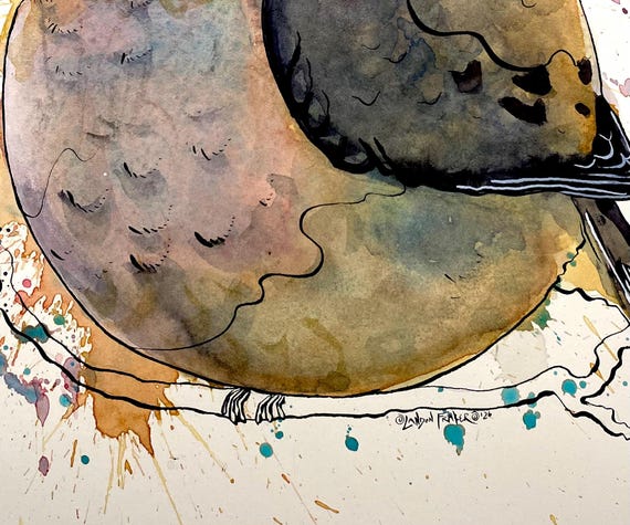 Fat Mourning Dove Print – Watercolor and Ink Bird Art by Landon