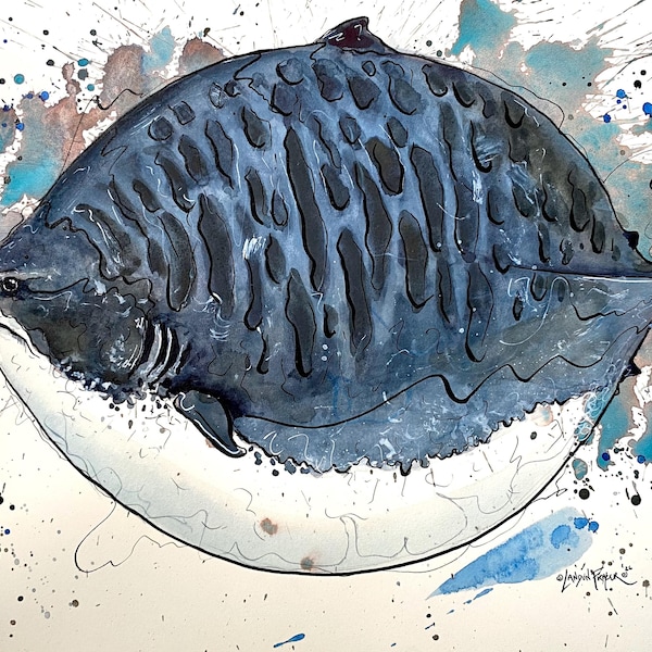 Fat Tiger Shark Print – Watercolor and Ink Fish Art by Landon Fraker