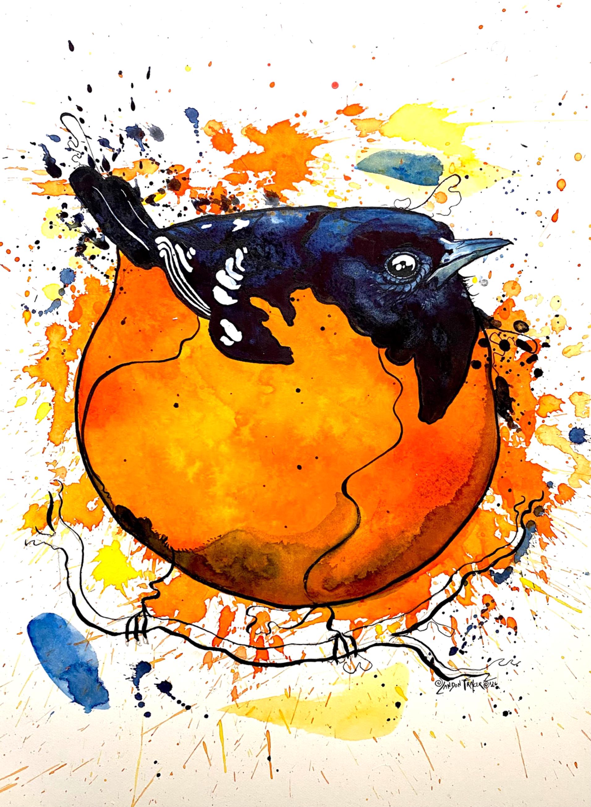 絵画 bird Fat Oriole Print – Watercolor and Ink Bird Art by Landon Fraker - Etsy