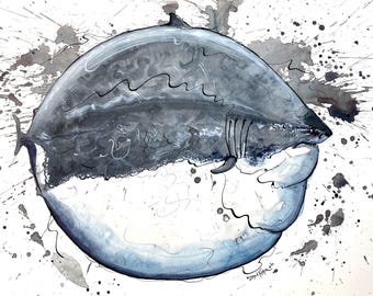 Fat Great White Shark Print – Watercolor and Ink Fish Art by Landon Fraker