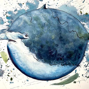 May include: A watercolor illustration of a round, blue hammerhead shark with a wide, flat head and small fins. The artwork features dark blue and light blue paint washes, ink outlines, and scattered blue paint splatters on a white background.