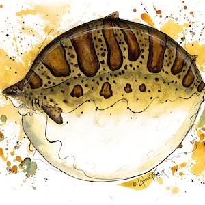 May include: A watercolor illustration of a round, puffer-like fish with brown vertical stripes and dark spots on its upper body. The lower portion is white, and the background features yellow and orange paint splatters with the signature Landon Fraker.