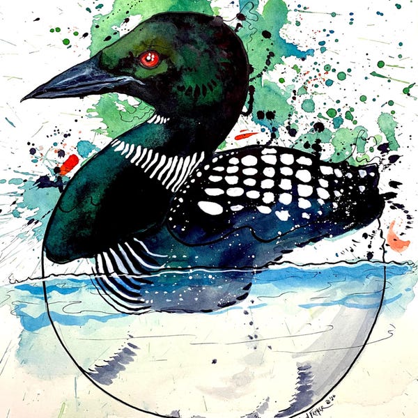 Fat Common Loon Print – Watercolor and Ink Bird Art by Landon Fraker