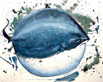 Fat Thresher Shark Print – Watercolor and Ink Fish Art by Landon Fraker