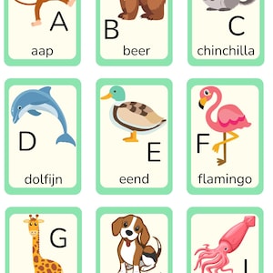 以下が含まれることがあります： 動物とアルファベットの教育用フラッシュカード。各カードには、文字、動物のイラスト、動物の名前が表示されます。動物には、猿、熊、チンチラ、イルカ、アヒル、フラミンゴ、キリン、犬、イカが含まれます。