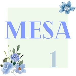 Könnte beinhalten: Ein hellgrünes Quadrat mit dem Wort "MESA" in blauen Buchstaben und der Zahl "1" in hellblau. Das Quadrat ist mit blauen Blumen verziert.