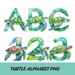 Turtle Alphabet Png Font Baby Turtle Letters Png Caretta Turtle Font Caretta Alphabet Png