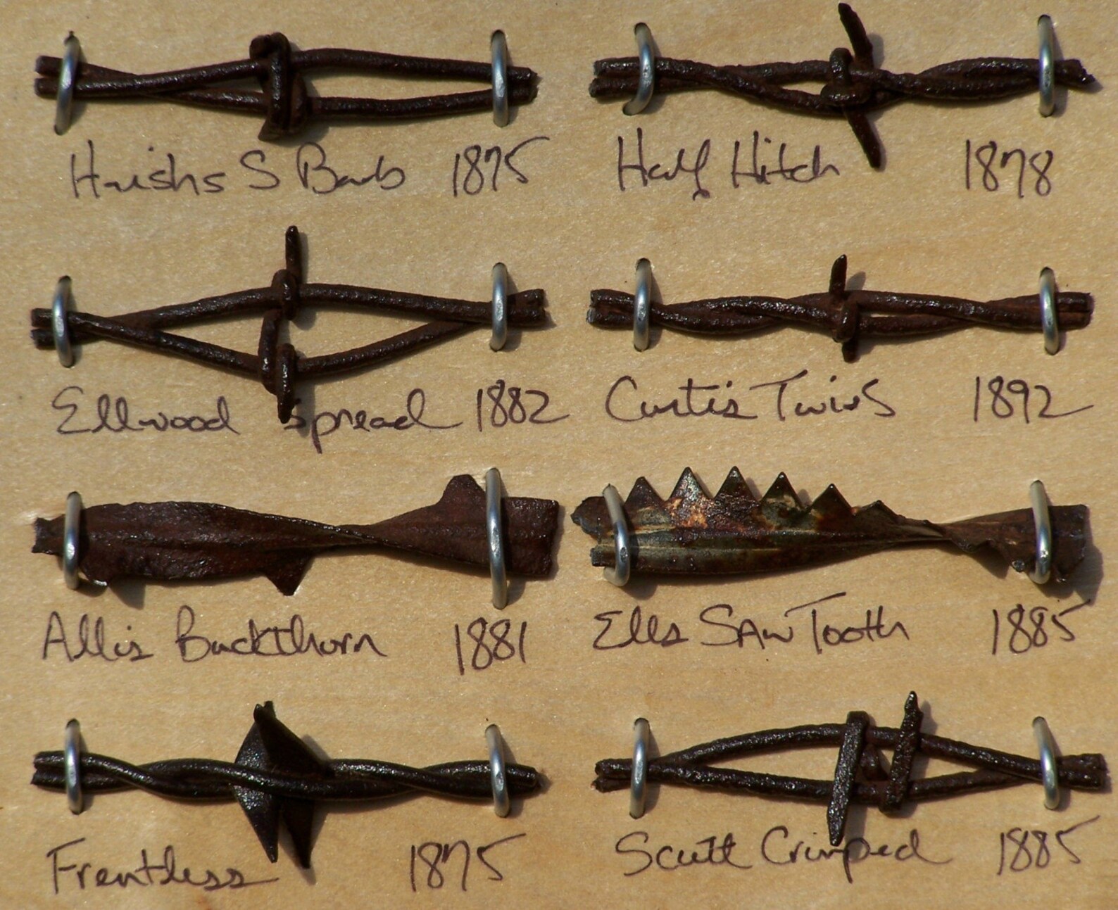 1800's Antique Barbed Wire Display 50 different cut's Etsy