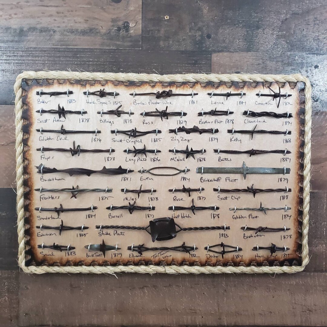 Antique Barbed Wire Display 37 Cuts Authentic Barbwire Collection