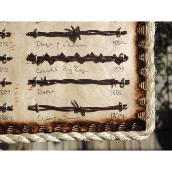 Antique Barbed Wire Display 27 Cuts Authentic Barbwire Collection
