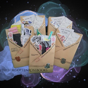 Blind Date with a Book, mystery book with extra goodies, mystery book boxes