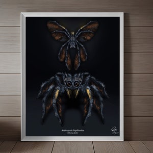 Spider Butterfly Creature | Instant Download | Insect | Art | Bug Art Prints | Illustration | Animal Design | Digital Panting | Original Art