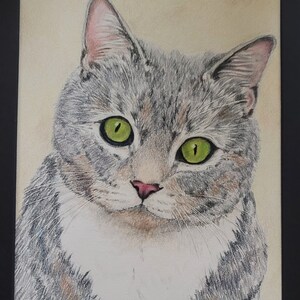 Original Commissioned Color Pencil Animal Portrait