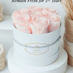 May include: A white round box with a silver rope trim, filled with light pink roses. The box has a gold label that reads "MIARA ROSES". The text above the box says "Stabilized Natural Roses Remain Fresh for 2+ Years".