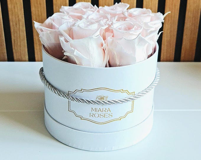 Preserved Real Light Pink Roses in White Box – 7 Real Roses That Last Years, Unique Gift, Luxury Floral Decor for Her