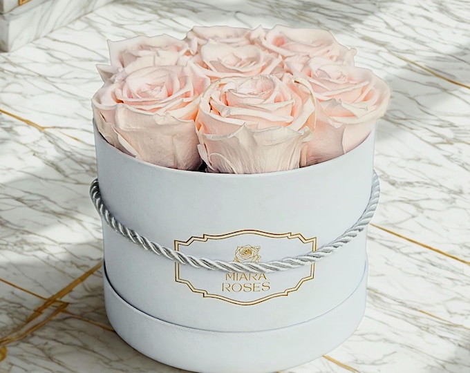 Stabilized, Unique, 7 Premium Light Pink Roses in White Box, Remain Fresh for Years, Unique Gift For Mom, Luxury Floral Decor, Gift for Her,