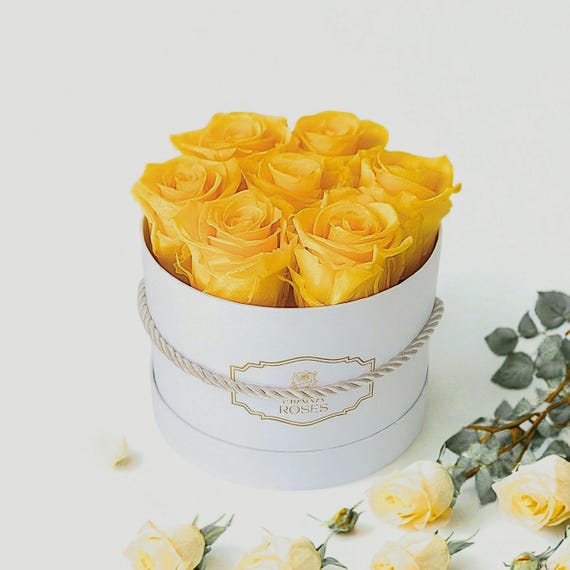 Real Everlasting Roses – 7 Yellow Stabilized Roses in White Box, Thoughtful Gift, Elegant Floral Decor, Birthday Flowers, Unique Home Decor