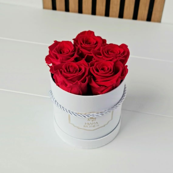 Valentines Day Gift – 5 Preserved Real Roses in White Box, Meaningful Small Gift That Lasts Years, Minimal, Tiny Birthday Gift for Her