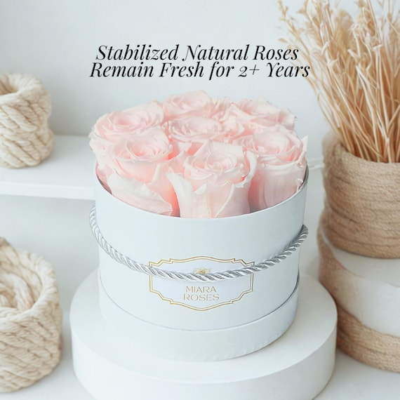 Most Memorable Gift - Personalised Label Box with 7 Preserved Real Pink Blush Roses, Modern Gifts, Table Centerpiece, Spring Style Gift