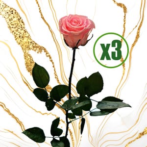 3 zakonserwowane, trwałe róże - 50 cm zakonserwowana róża z łodygą (3 szt.), elegancki prezent, wystrój domu, prezent dla niej, ponadczasowy prezent, prezent urodzinowy