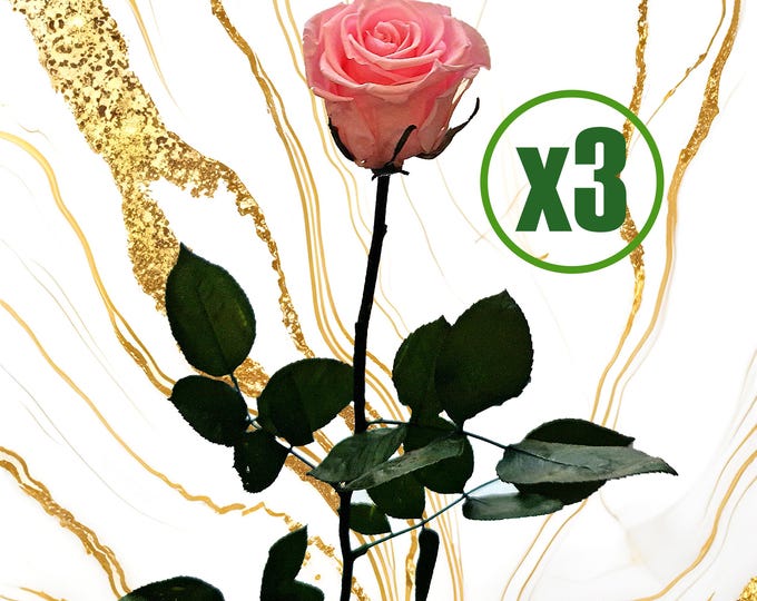 3 Preserved Long-Lasting Roses - 50 cm Preserved Rose with Stem (3 pcs), Elegant Gift, Home Decor, Gift For Her, Timless Gift, Birthday Gift