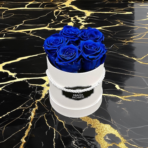 Real Roses Stabilized, Longevity: 2+ Years, 5 Dark Blue Preserved Roses in Round Box, Eternal Roses, Unique Gift, Home Decor