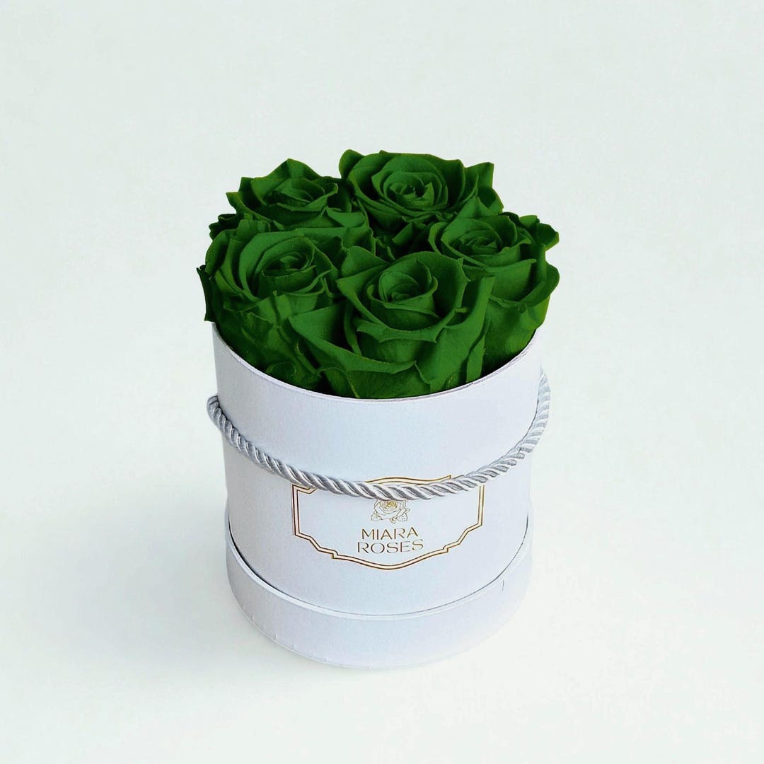 Green Packaged Roses Real Roses That Keep Fresh Look for 2+ Years - 5 Stabilized Emerald ...