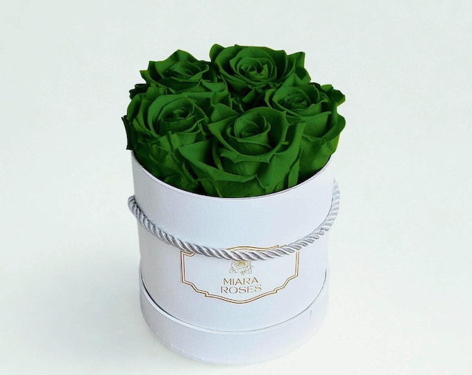 Real Roses That Keep Fresh Look for 2+ Years - 5 Stabilized Emerald Green Roses in White Box, Luxury Flowers, Host Gifts, Housewarming Gifts