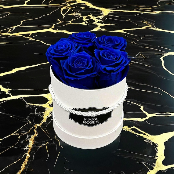 Real Roses Stabilized, Longevity: 2+ Years, 5 Dark Blue Preserved Roses in Round Box, Eternal Roses, Unique Gift, Home Decor