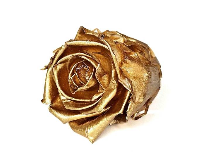 6 XL Preserved Roses: Ecuadorian Kiara Gold Rose Heads - DIY Crafts